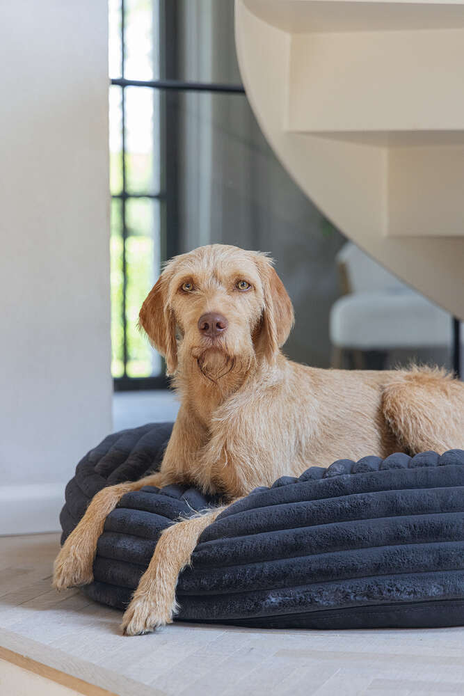 Designed by Lotte Hundekissen Reza Rund